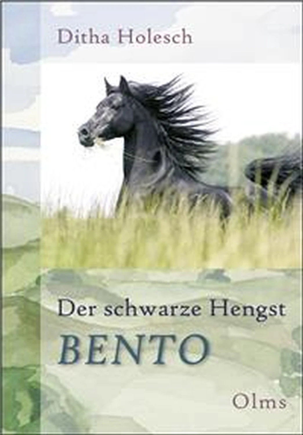 Der schwarze Hengst Bento von Geoarg Olms AG 