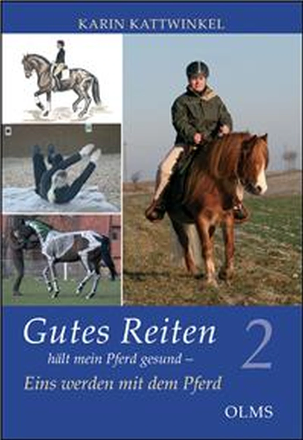 Gutes Reiten hält mein Pferd gesund von Geoarg Olms AG