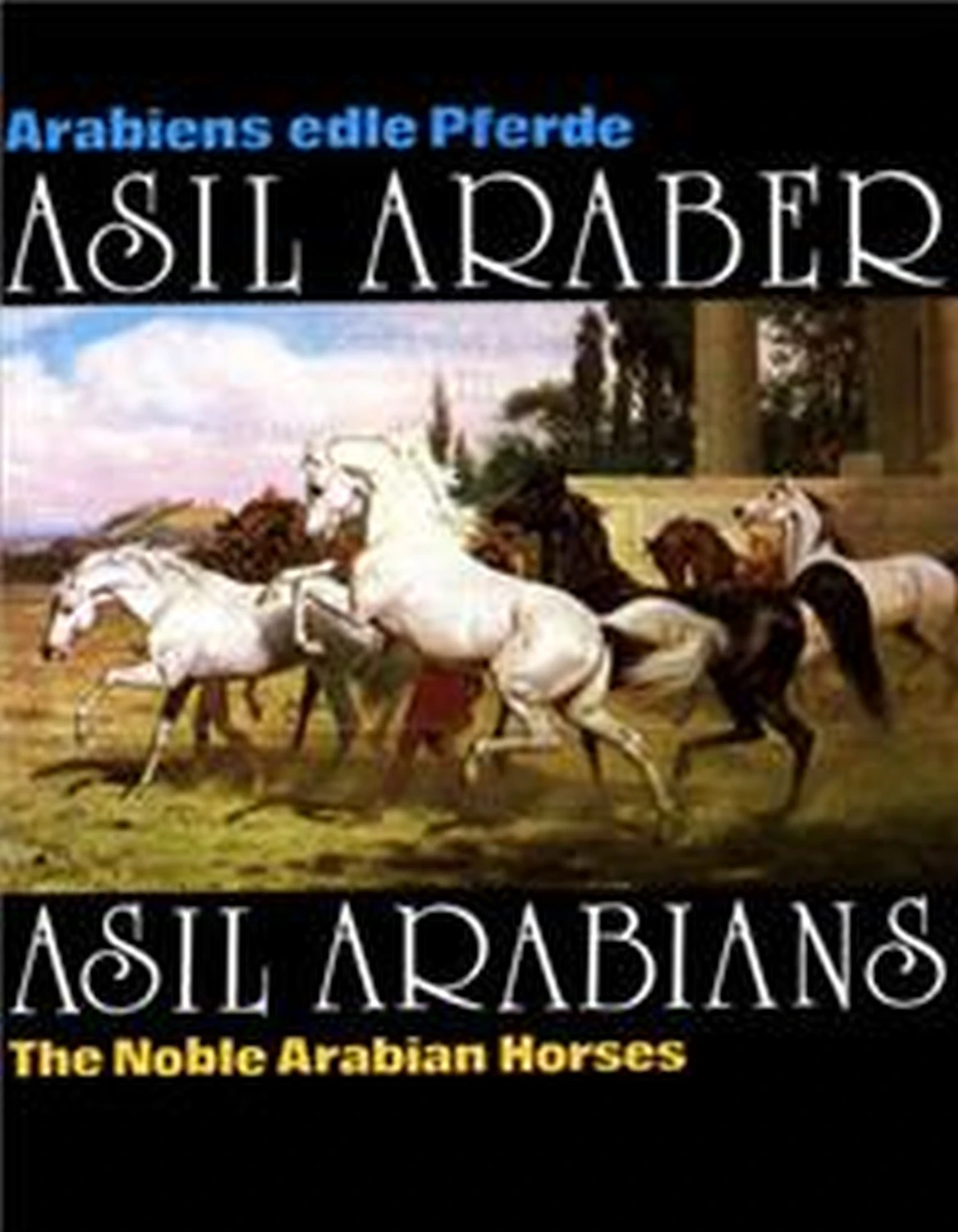 Asil Araber III - Arabiens edle Pferde/The Noble Arabian Horses von Geoarg Olms AG