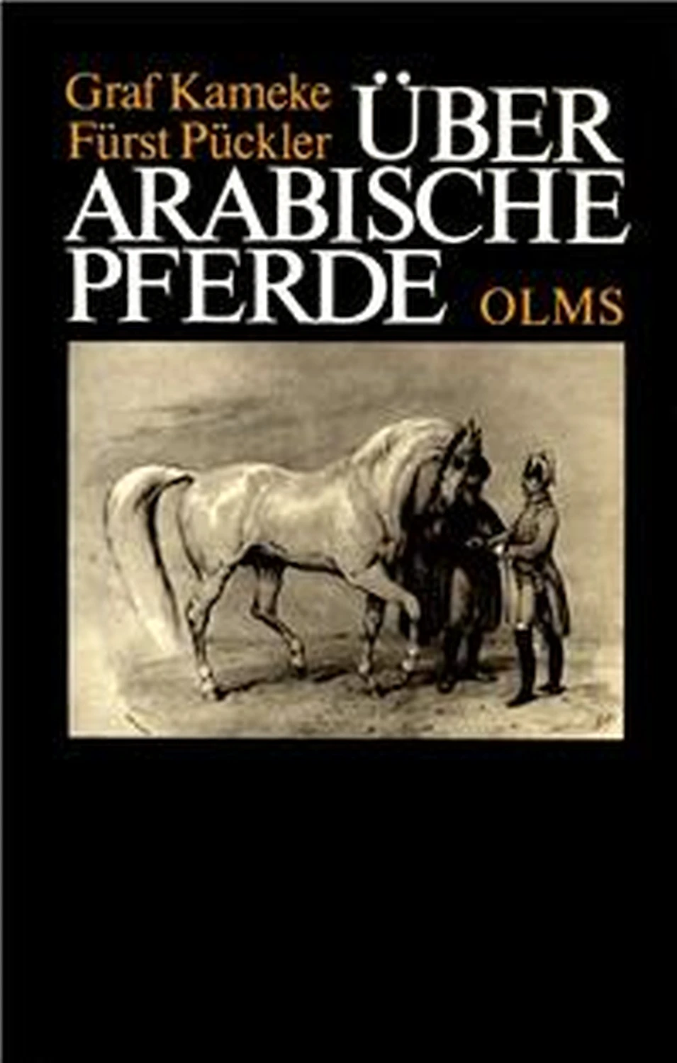 Über arabische Pferde von Geoarg Olms AG
